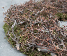 Lade das Bild in den Galerie-Viewer, Moos Bonsai Türkranz Wandkranz Ø 65 cm Naturkranz Landhaus