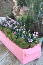Lade das Bild in den Galerie-Viewer, Blumenkasten " Das Original von Dekorie " aus Holz mit Schriftzug und Holz Griffen 50 - 90 cm breit / 19,5 cm tief / in rosa / pink