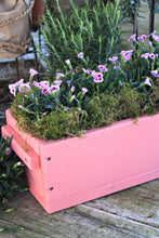 Lade das Bild in den Galerie-Viewer, Blumenkasten " Das Original von Dekorie " aus Holz mit Holz Griffen 30 - 90 cm breit / 19,5 cm tief / in pink