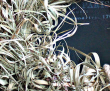 Lade das Bild in den Galerie-Viewer, Seegras/ Wasser Gras Kranz in Farbe Natur Ø 55 cm