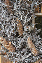 Lade das Bild in den Galerie-Viewer, Kranz aus Geäst und Moos mit Zapfen - Farbe: grau- Maße (Durcmesser): 65 cm - hübscher Naturkranz für Balkon, Garten oder im Haus